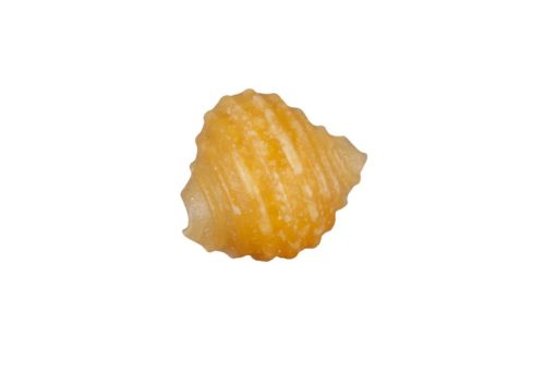 Mini Chickpea Shell