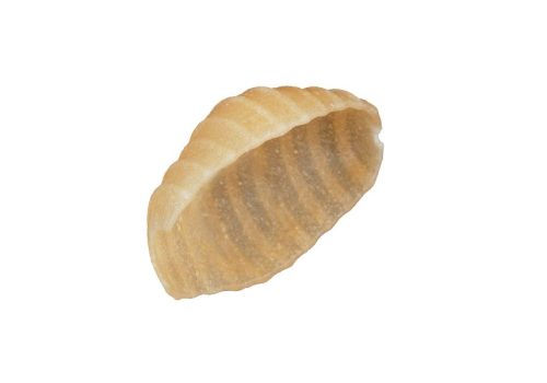Chickpea Shell